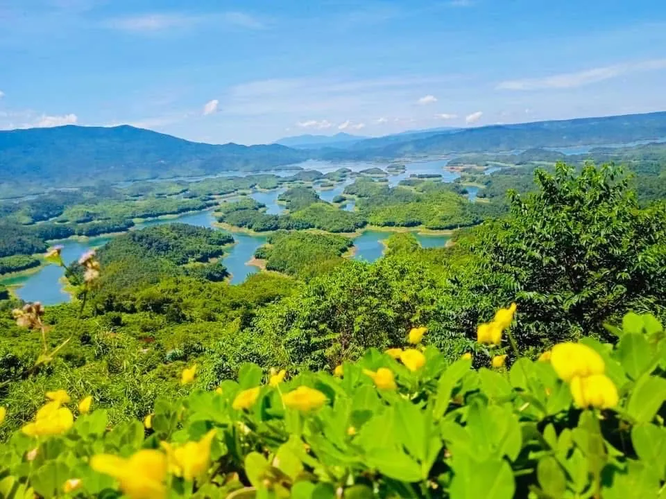 Đồi hoa dại và cây xanh nhìn ra hồ